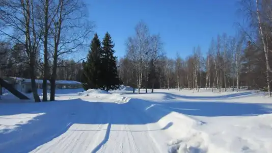 Yöpuu - 8