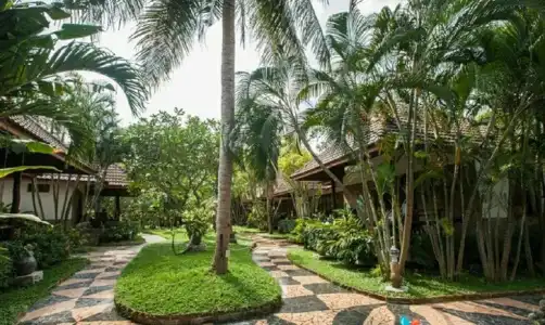Salad Beach Resort - 63