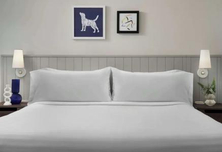 Sonesta ES Suites Sunnyvale - 58