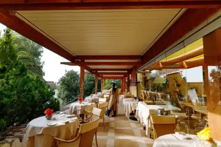 Alberi del Paradiso - 35