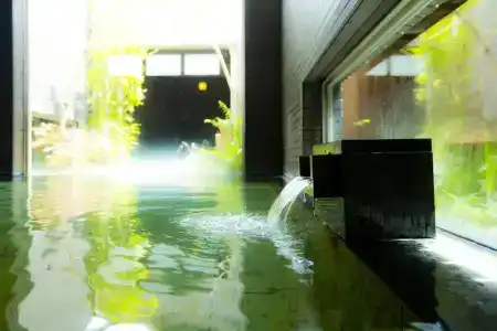 Garden Palace & Kansai Airport Spa - 22