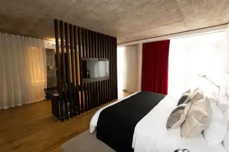 Anselmo Buenos Aires Curio Collection By Hilton - 38