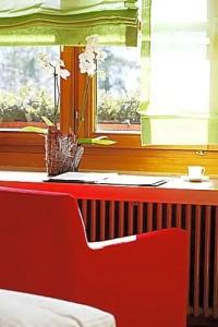 Hotel-Restaurant Adler - 14