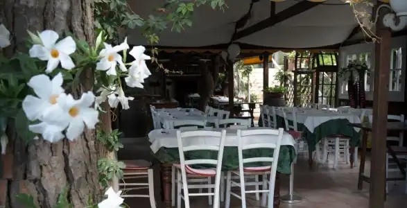 Vina del Mar Pineta - 9