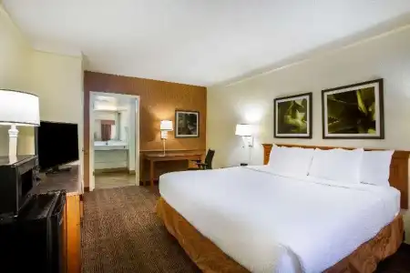 La Quinta Inn by Wyndham Austin Capitol / Downtown - 21