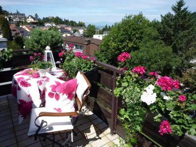 Behringer's Traube - 27