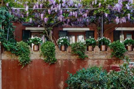 Locanda Fiorita - 19
