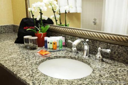 Radisson Phoenix Airport - 8