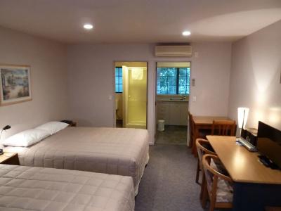Tudor Lodge Motel - 60