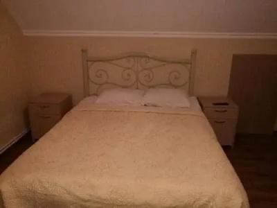 Guest House Borjomi Forest - 1