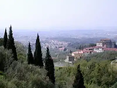 Antico Masetto - 7