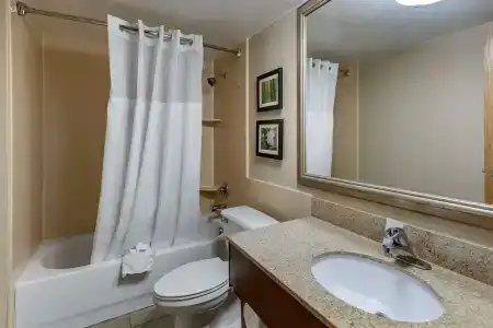 Comfort Inn Lansing West - 9