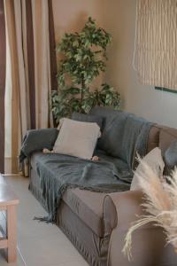 Daluz Boutique - 234