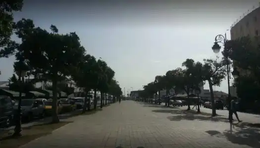El Bahy - 12