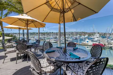 Best Western Plus Island Palms & Marina - 30