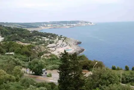 Orsa Maggiore - 89