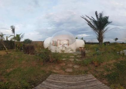 Green Land Bubble Glamping - 39