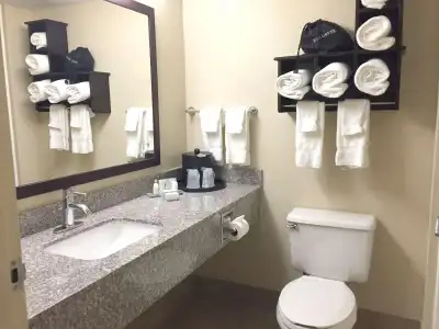 Best Western Plus Birmingham Inn & Suites - 34