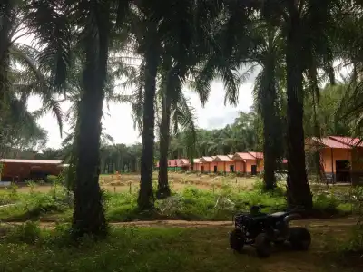 Khao Sok Evergreen House - 25