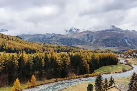 Schloss & Spa Pontresina - 14