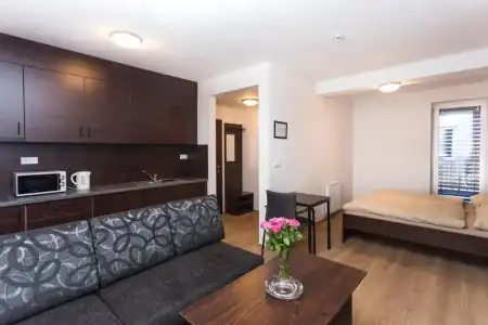 Barok and Apartments - 57