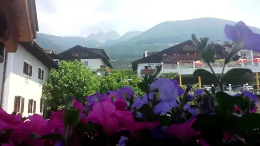 Baumgartner's Blumenhotel - 16
