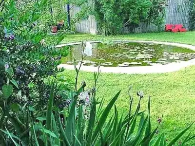 La Gallina Felice B&B - 14