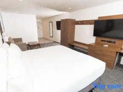 Holiday Inn Express & Suites HOLLYWOOD WALK OF FAME by IHG - 4