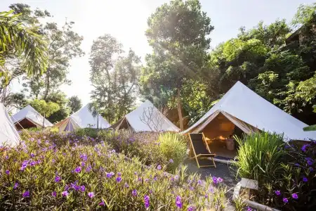 Roost Glamping - 31