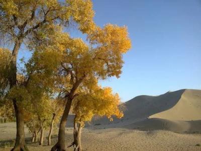 DunHuang HeanTingfeng Youth Hostel - 2