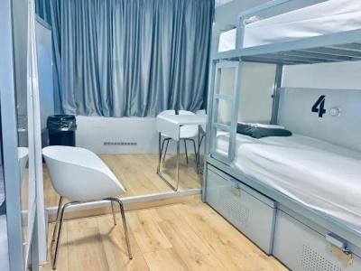 The White Tulip Hostel - 30