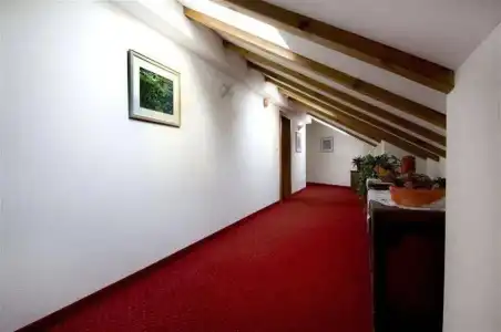 Lewald - 12