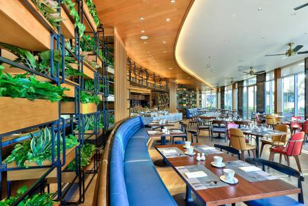 Hilton - 29