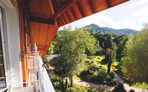 Rebstock Durbach - 102