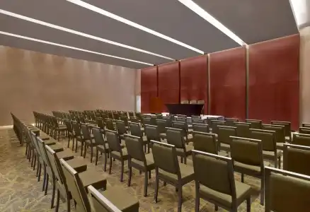 The Westin Guadalajara - 8