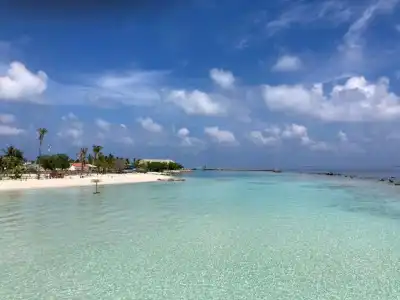 Island Host - 6