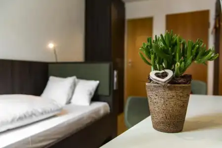 Insel-Hotel-Lindau - 30