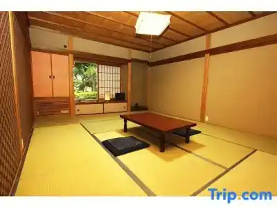 Saimonin - 46