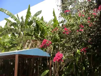 Sea Breeze - 9