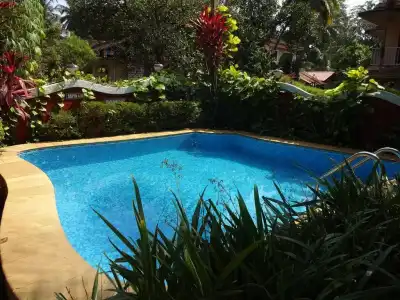 Renzo's Inn - 8