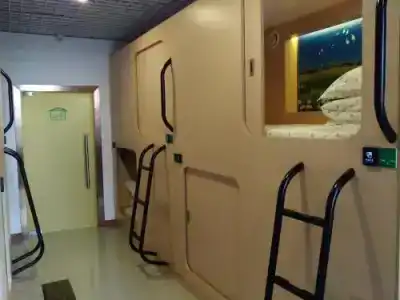 The Olive Tree Capsule Hostel - 6