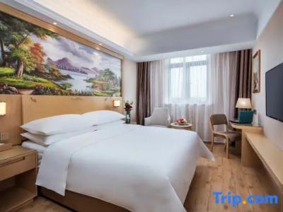 Vienna - 35