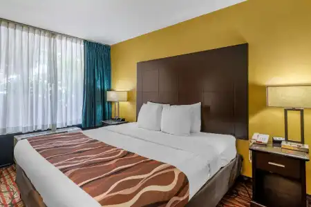 Rodeway Inn Clearwater - Central - 48