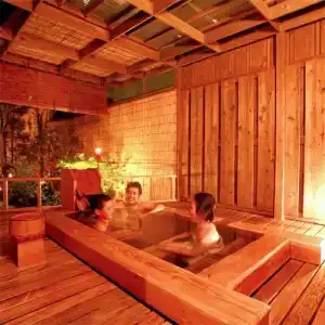 Shiobara Onsen Yamaguchiya Ryokan - 16
