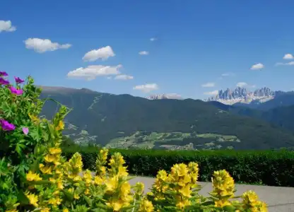 Stocknerhof - 4