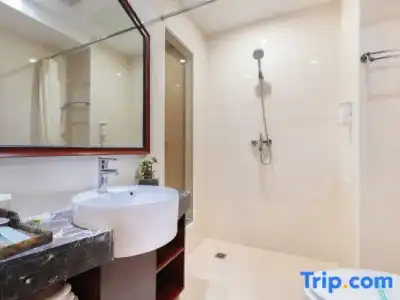 ibis budget Singapore Sapphire - 52
