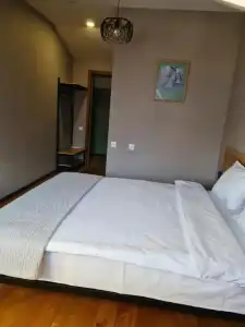 Hilltop Kazbegi - 50