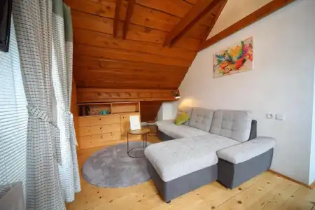 Vila Edelweiss Rooms&App Kranjska Gora - 24