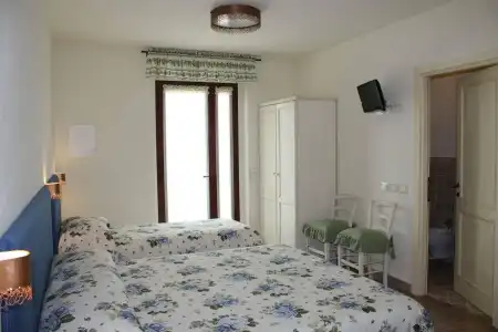 Rosa di Assisi - 0