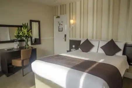 The Brighton - 40